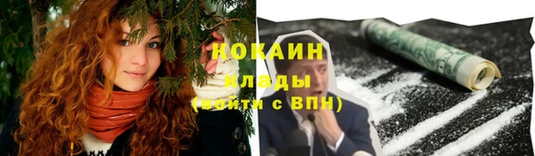 эйфоретик Арсеньев