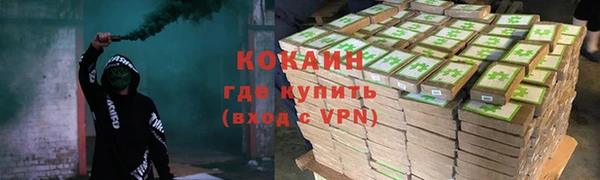 эйфоретик Арсеньев