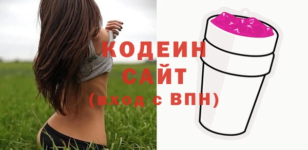 эйфоретик Арсеньев