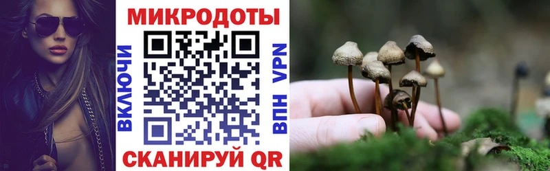 мега ССЫЛКА  закладка  Солнечногорск  Псилоцибиновые грибы прущие грибы 