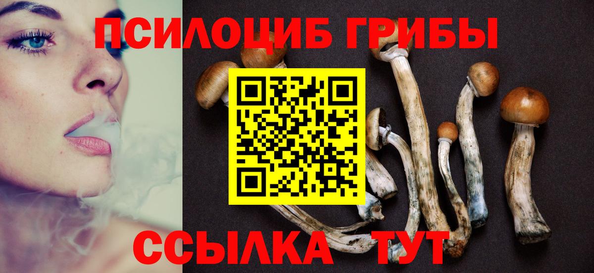 Псилоцибиновые грибы прущие грибы Солнечногорск