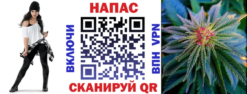 Конопля сатива  Солнечногорск 